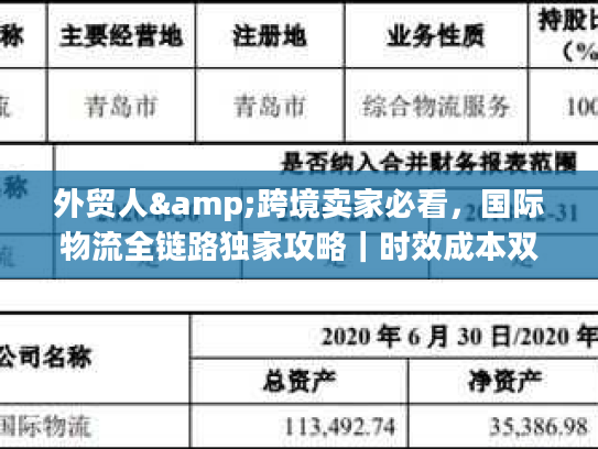 外贸人&跨境卖家必看，国际物流全链路独家攻略｜时效成本双控+避坑指南