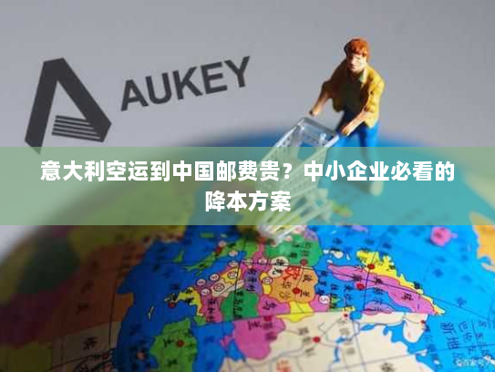 意大利空运到中国邮费贵?中小企业必看的降本方案 意大利空运到中国邮费贵?中小企业必看的降本方案