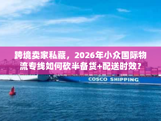 跨境卖家私藏，2026年小众国际物流专线如何砍半备货+配送时效？