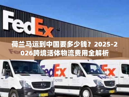 荷兰马运到中国要多少钱？2025-2026跨境活体物流费用全解析