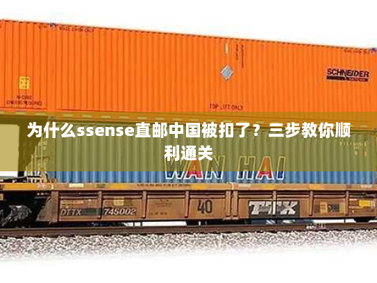 为什么ssense直邮中国被扣了?三步教你顺利通关 为什么ssense直邮中国被扣了?三步教你顺利通关