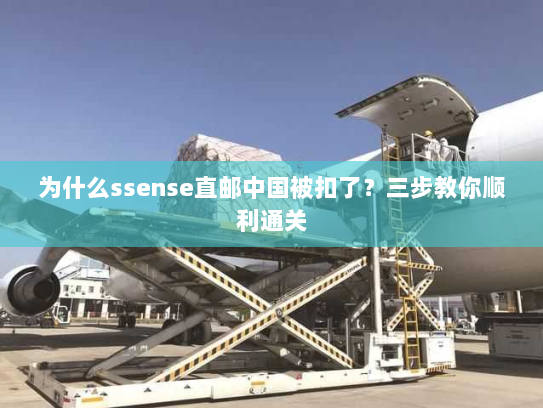 为什么ssense直邮中国被扣了?三步教你顺利通关 为什么ssense直邮中国被扣了?三步教你顺利通关
