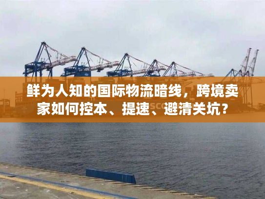 鲜为人知的国际物流暗线，跨境卖家如何控本、提速、避清关坑？