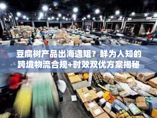 豆腐树产品出海遇阻?鲜为人知的跨境物流合规+时效双优方案揭秘 豆腐树产品出海遇阻?鲜为人知的跨境物流合规+时效双优方案揭秘