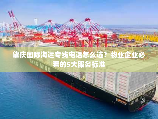 肇庆国际海运专线电话怎么选？物业企业必看的5大服务标准