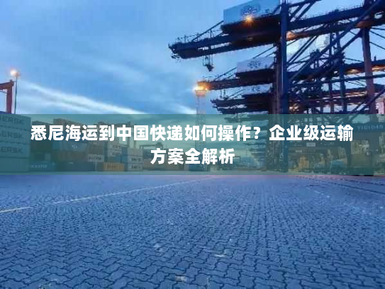 悉尼海运到中国快递如何操作?企业级运输方案全解析 悉尼海运到中国快递如何操作?企业级运输方案全解析