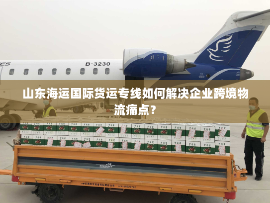 山东海运国际货运专线如何解决企业跨境物流痛点？