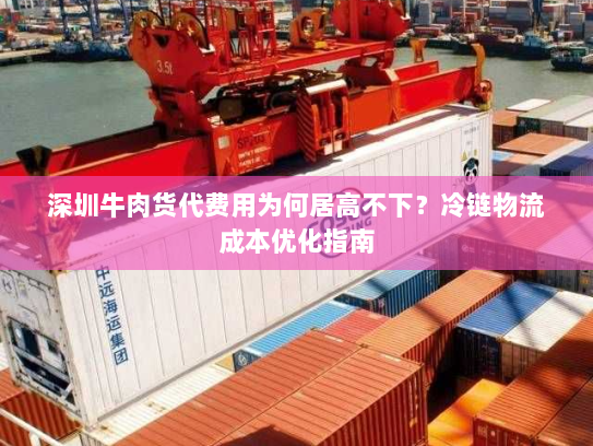 深圳牛肉货代费用为何居高不下?冷链物流成本优化指南 深圳牛肉货代费用为何居高不下?冷链物流成本优化指南