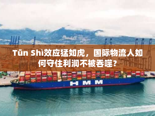 Tūn Shì效应猛如虎，国际物流人如何守住利润不被吞噬？