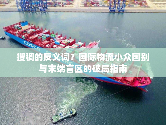 搜稠的反义词？国际物流小众国别与末端盲区的破局指南