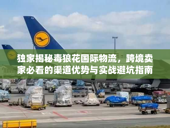 独家揭秘毒狼花国际物流,跨境卖家必看的渠道优势与实战避坑指南 独家揭秘毒狼花国际物流,跨境卖家必看的渠道优势与实战避坑指南