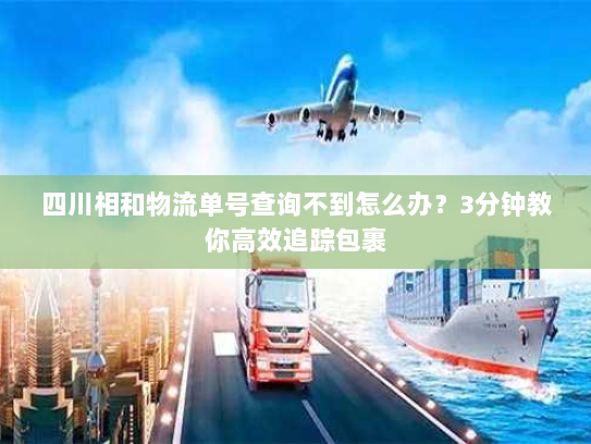 四川相和物流单号查询不到怎么办？3分钟教你高效追踪包裹