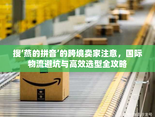 搜‘燕的拼音’的跨境卖家注意，国际物流避坑与高效选型全攻略