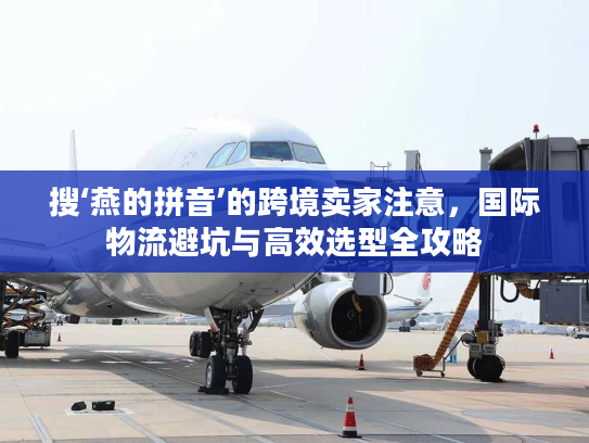 搜‘燕的拼音’的跨境卖家注意，国际物流避坑与高效选型全攻略
