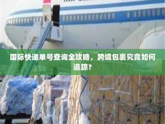 国际快递单号查询全攻略,跨境包裹究竟如何追踪? 国际快递单号查询全攻略,跨境包裹究竟如何追踪?