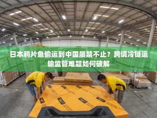 日本鸦片鱼偷运到中国屡禁不止？跨境冷链运输监管难题如何破解
