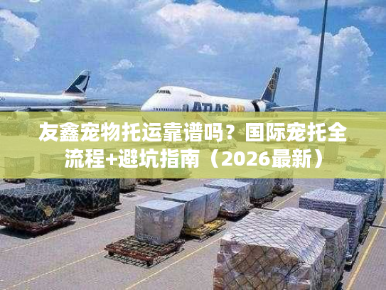 友鑫宠物托运靠谱吗？国际宠托全流程+避坑指南（2026最新）