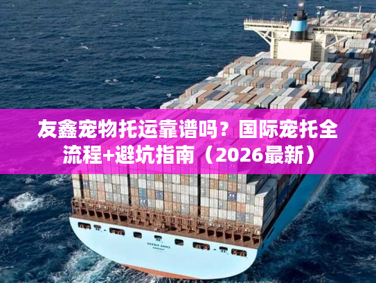 友鑫宠物托运靠谱吗？国际宠托全流程+避坑指南（2026最新）