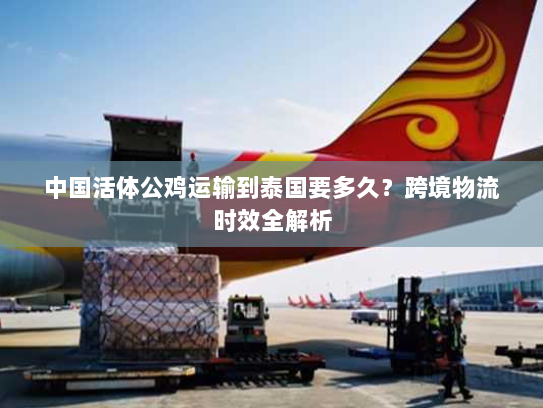 中国活体公鸡运输到泰国要多久?跨境物流时效全解析 中国活体公鸡运输到泰国要多久?跨境物流时效全解析