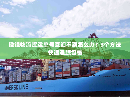 豫锋物流货运单号查询不到怎么办?3个方法快速追踪包裹 豫锋物流货运单号查询不到怎么办?3个方法快速追踪包裹