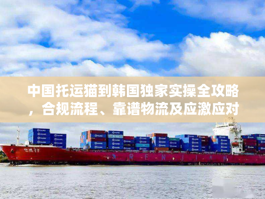 中国托运猫到韩国独家实操全攻略，合规流程、靠谱物流及应激应对