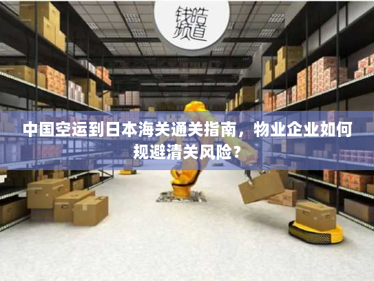 中国空运到日本海关通关指南，物业企业如何规避清关风险？