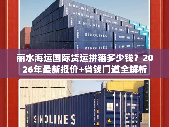 丽水海运国际货运拼箱多少钱？2026年最新报价+省钱门道全解析