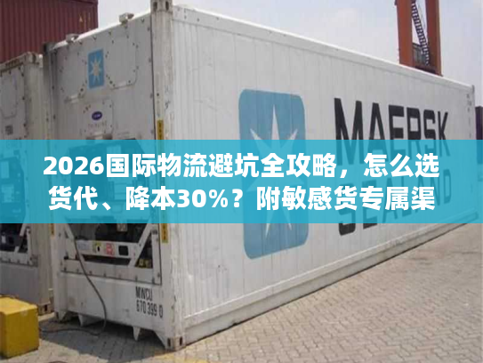 2026国际物流避坑全攻略，怎么选货代、降本30%？附敏感货专属渠道