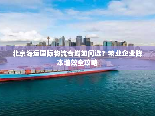 北京海运国际物流专线如何选？物业企业降本增效全攻略