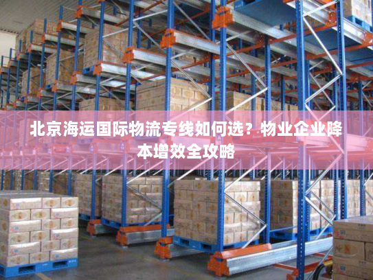 北京海运国际物流专线如何选？物业企业降本增效全攻略