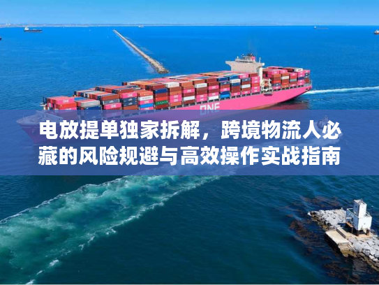 电放提单独家拆解,跨境物流人必藏的风险规避与高效操作实战指南 电放提单独家拆解,跨境物流人必藏的风险规避与高效操作实战指南