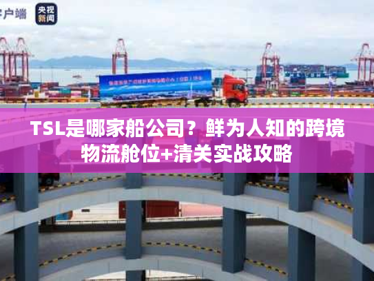 TSL是哪家船公司？鲜为人知的跨境物流舱位+清关实战攻略