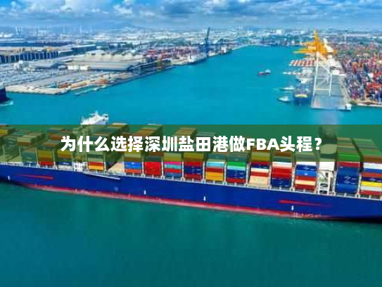 为什么选择深圳盐田港做FBA头程? 为什么选择深圳盐田港做FBA头程?