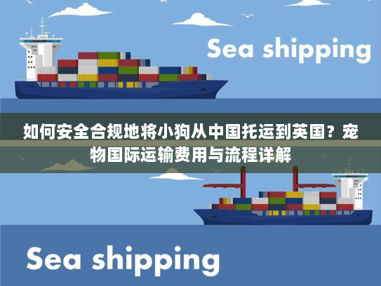 如何安全合规地将小狗从中国托运到英国?宠物国际运输费用与流程详解 如何安全合规地将小狗从中国托运到英国?宠物国际运输费用与流程详解