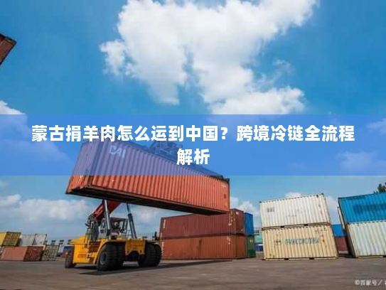 蒙古捐羊肉怎么运到中国?跨境冷链全流程解析 蒙古捐羊肉怎么运到中国?跨境冷链全流程解析