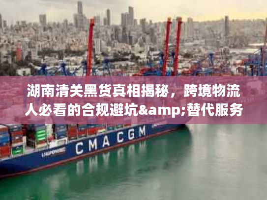 湖南清关黑货真相揭秘，跨境物流人必看的合规避坑&替代服务指南