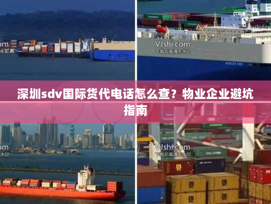 深圳sdv国际货代电话怎么查?物业企业避坑指南 深圳sdv国际货代电话怎么查?物业企业避坑指南