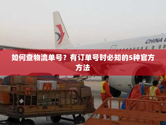 如何查物流单号?有订单号时必知的5种官方方法 如何查物流单号?有订单号时必知的5种官方方法