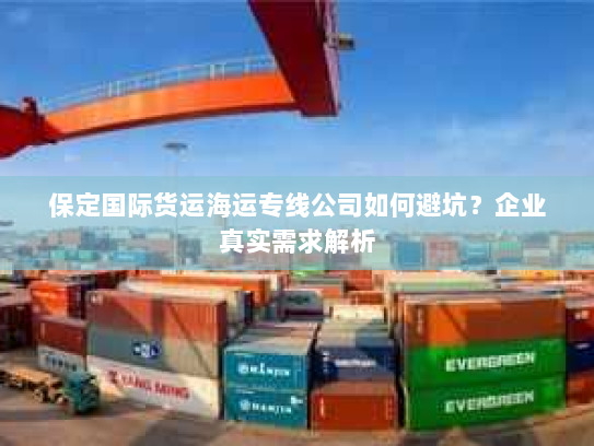 保定国际货运海运专线公司如何避坑？企业真实需求解析