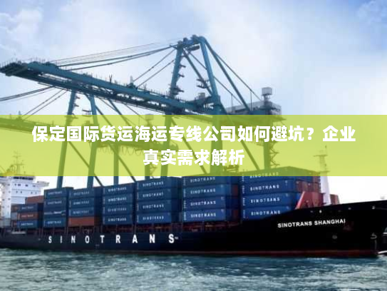 保定国际货运海运专线公司如何避坑？企业真实需求解析