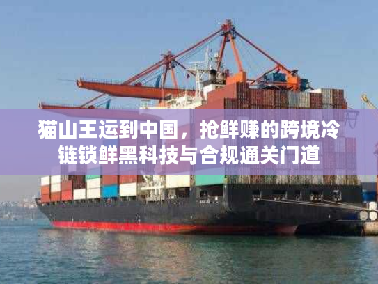 猫山王运到中国，抢鲜赚的跨境冷链锁鲜黑科技与合规通关门道
