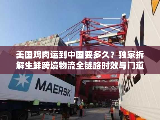美国鸡肉运到中国要多久？独家拆解生鲜跨境物流全链路时效与门道
