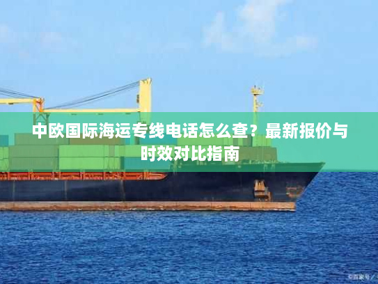 中欧国际海运专线电话怎么查？最新报价与时效对比指南