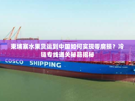 柬埔寨水果货运到中国如何实现零腐损？冷链专线通关秘籍揭秘