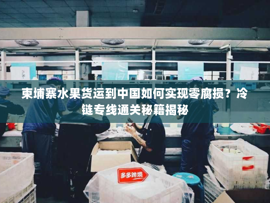 柬埔寨水果货运到中国如何实现零腐损?冷链专线通关秘籍揭秘 柬埔寨水果货运到中国如何实现零腐损?冷链专线通关秘籍揭秘