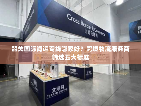 韶关国际海运专线哪家好？跨境物流服务商筛选五大标准