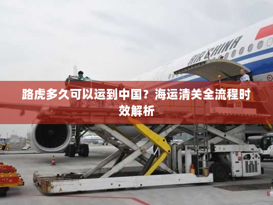 路虎多久可以运到中国？海运清关全流程时效解析
