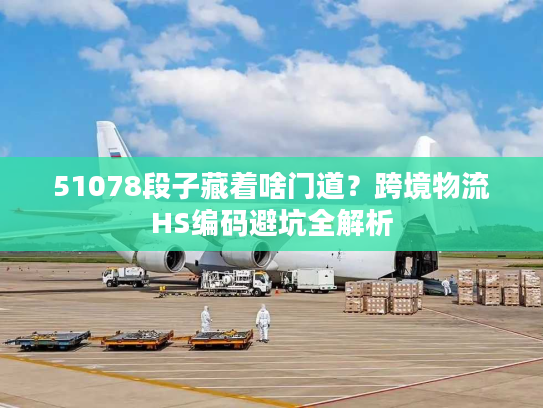 51078段子藏着啥门道？跨境物流HS编码避坑全解析