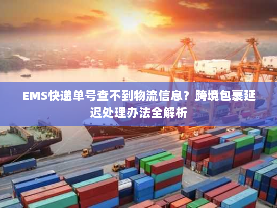 EMS快递单号查不到物流信息?跨境包裹延迟处理办法全解析 EMS快递单号查不到物流信息?跨境包裹延迟处理办法全解析