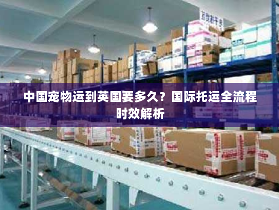中国宠物运到英国要多久?国际托运全流程时效解析 中国宠物运到英国要多久?国际托运全流程时效解析